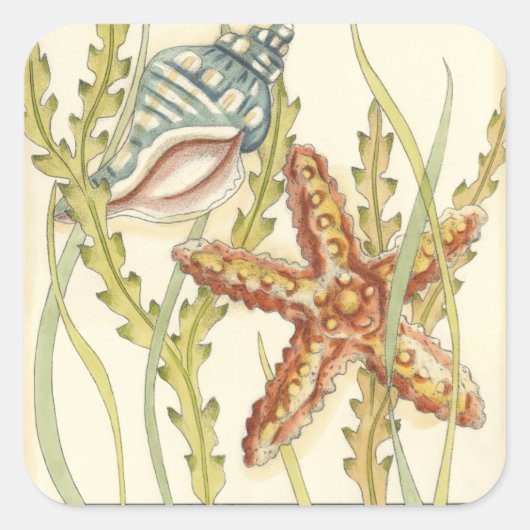 Party für mehrfarbige Muschel Quadratischer Aufkleber (Vorderseite)