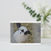 Party Geschenke Postkarte (Stehend Vorderseite)