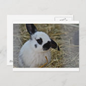 Party Geschenke Postkarte (Vorne/Hinten)