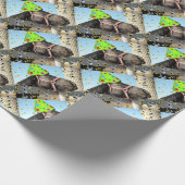 Party Geschenkpapier (Ecke)
