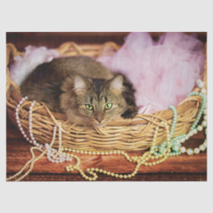 Party Girl Seidenpapier