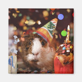 Party Guinea Pig Magnet (Vorne)