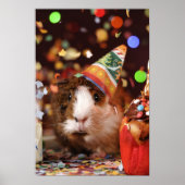 Party Guinea Pig Poster (Vorne)