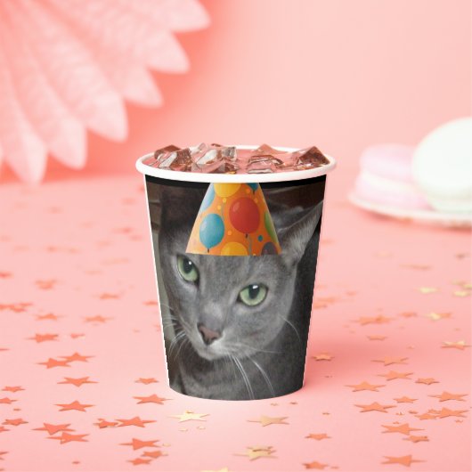 Party Hat Gray Cat Pappbecher (Insitu)