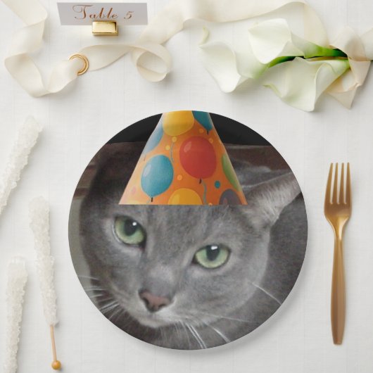Party Hat Gray Cat Pappteller (Hochzeit)
