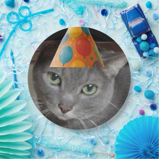 Party Hat Gray Cat Pappteller (Party)