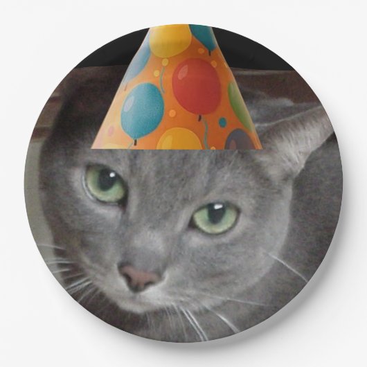 Party Hat Gray Cat Pappteller (Vorderseite)