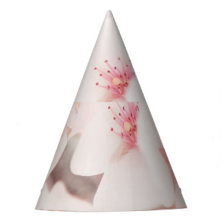 Party Hat Partyhütchen