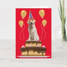 Party Hund auf einem Kuchen Geburtstag