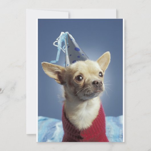 Party Hund Einladung (Vorderseite)