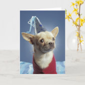 Party Hund Geburtskarte Karte (Gelbe Blume)