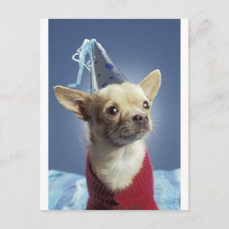 Party Hund zum Geburtstag Einladung