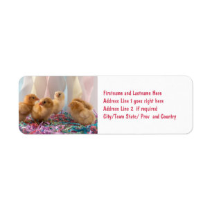 Party-Küken-gelbe Baby-Huhn-Ausläufer