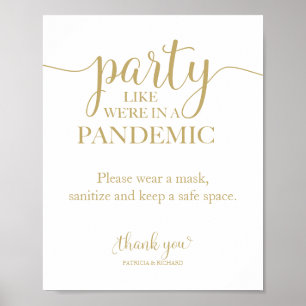 Party Like We're In a Pandemic Funny Sign Poster