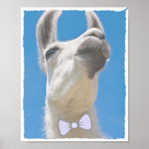 Party Llama mit Bow-Krawatte Poster