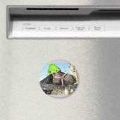Party Magnet (In Situ (Geschirrspüler))