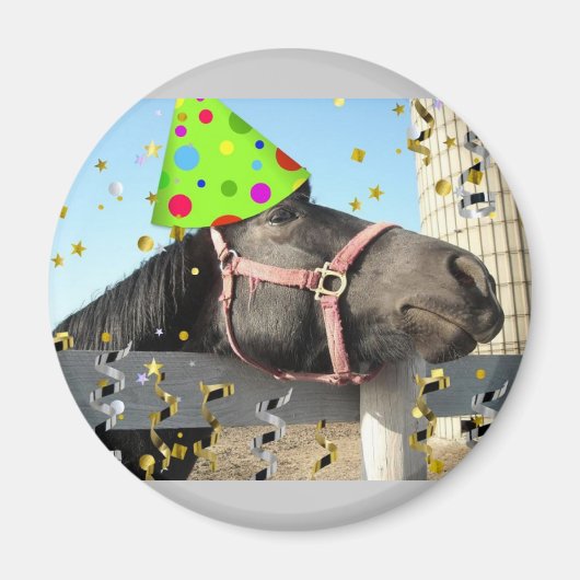 Party Magnet (Vorne)