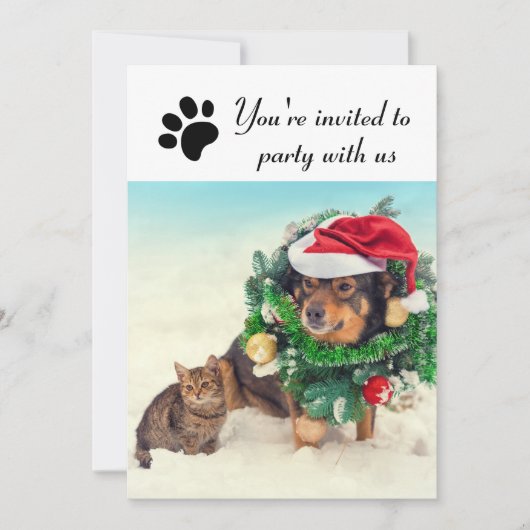 Party mit uns Hund & Katze - Feierabend Einladung (Vorderseite)