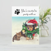 Party mit uns Hund & Katze - Feierabend Einladung (Stehend Vorderseite)