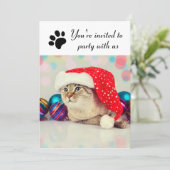 Party mit US Cat - Feierabend Einladung (Stehend Vorderseite)