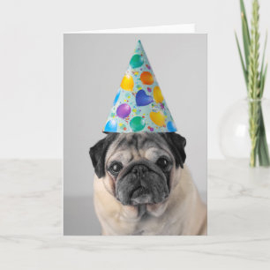 Party Mops Karte