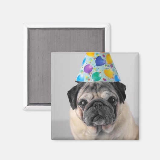 Party Mops Magnet (Vorderseite/Rückseite)