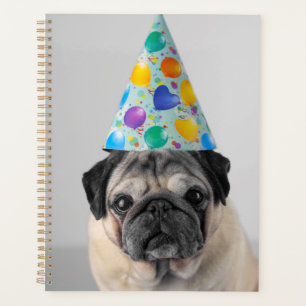 Party Mops Planer