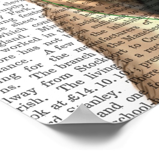 Party Mops Poster (Ecke)