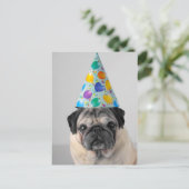 Party Mops Postkarte (Stehend Vorderseite)