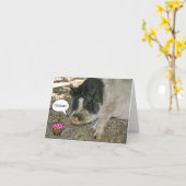 Party Pig Card Karte (Gelbe Blume)
