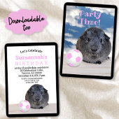 Party Pink White Soccer Ball Guinea Pig Einladung