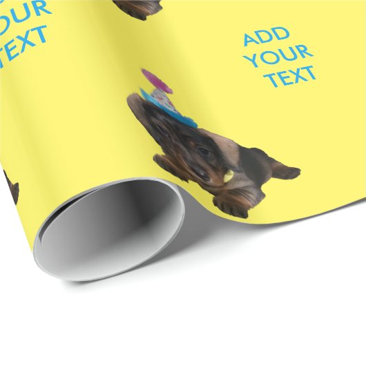 Party Pooper Geschenkpapier (Rolleneckpunkt)