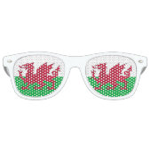 Party Shades & Wales Sonnenbrillen / Walisische Fl (Vorderseite)