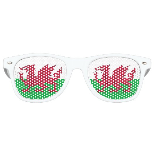 Party Shades & Wales Sonnenbrillen / Walisische Fl (Vorderseite)