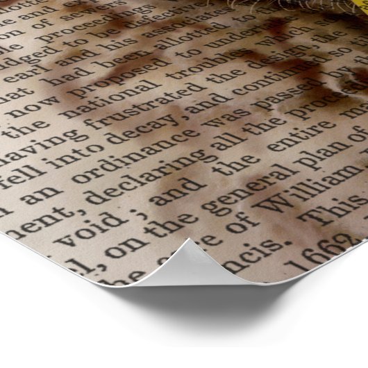 Party Sheep Poster (Ecke)