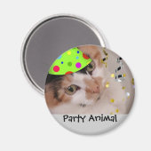 Party Tier/Calico Katze Magnet (Vorderseite/Rückseite)