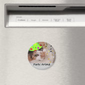 Party Tier/Calico Katze Magnet (In Situ (Geschirrspüler))