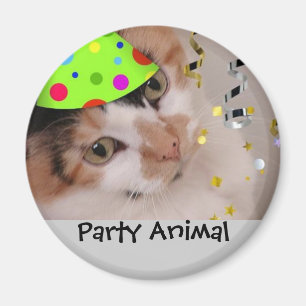 Party Tier/Calico Katze Magnet