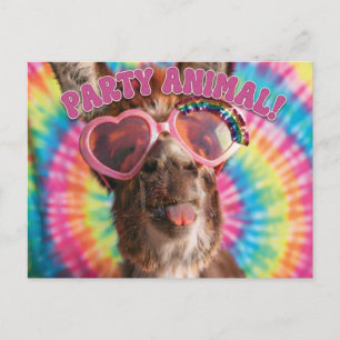 Party Tier - Lustiger Esel mit Sonnenbrille Postkarte