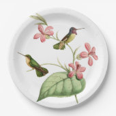 Party Vintager Kolibris Pappteller (Vorderseite)