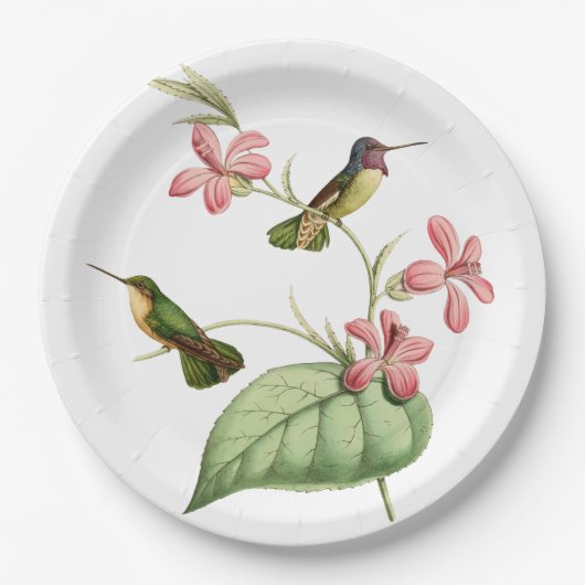 Party Vintager Kolibris Pappteller (Vorderseite)