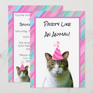 Party wie eine Tierkatze zum Geburtstag mit Party Einladung