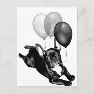 Party Zeit Französische Bulldog-Postkarte Postkarte
