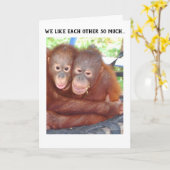 Party zur Ankündigung von Verlobungen (Gelbe Blume)