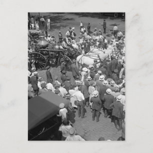 Party zur Ruhestandsregelung für Feuerpferde, 1925 Postkarte