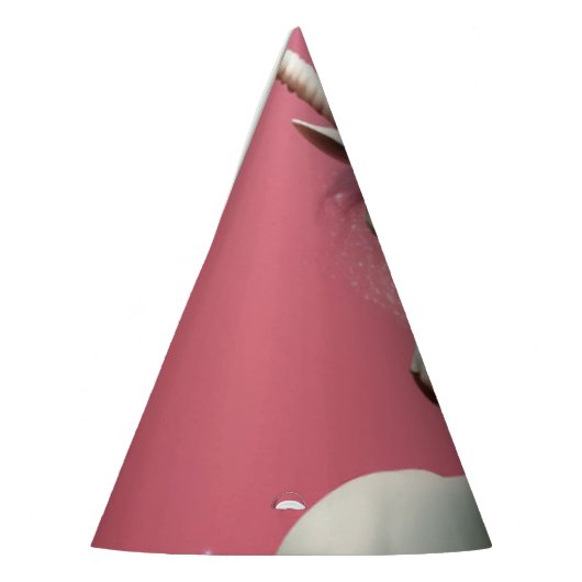 Partyhütchen (Links)