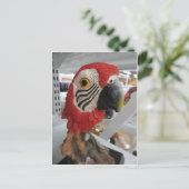 Partyleiter Postkarte (Stehend Vorderseite)