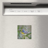 Parula americana (Nord) Magnet (In Situ (Geschirrspüler))