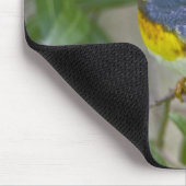Parula americana (Nord) Mousepad (Ecke)