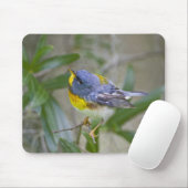 Parula americana (Nord) Mousepad (Mit Mouse)